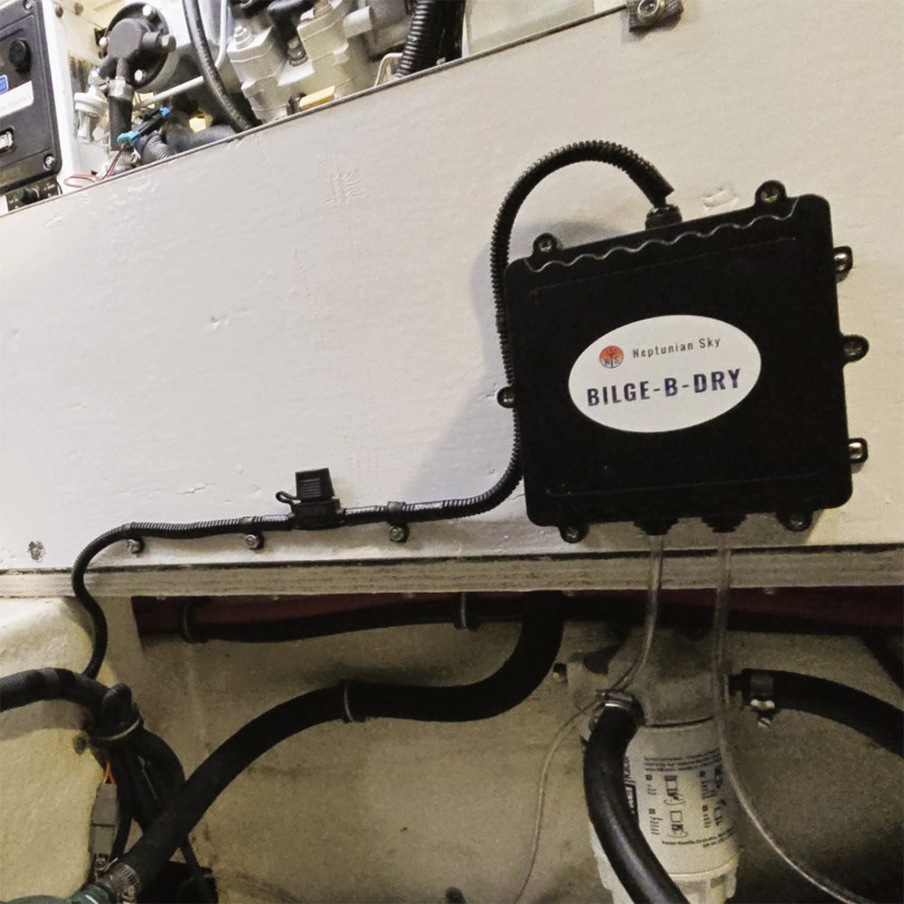 BILGEBDRY Single Pump  12VDC BBD2025121