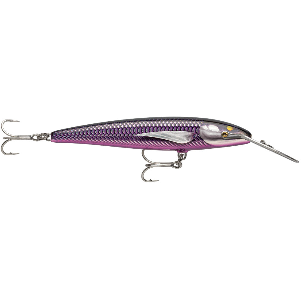 Rapala CountDown Magnum Elite 145  534  Armored Purple Mackerel CDMAGE145AMPM